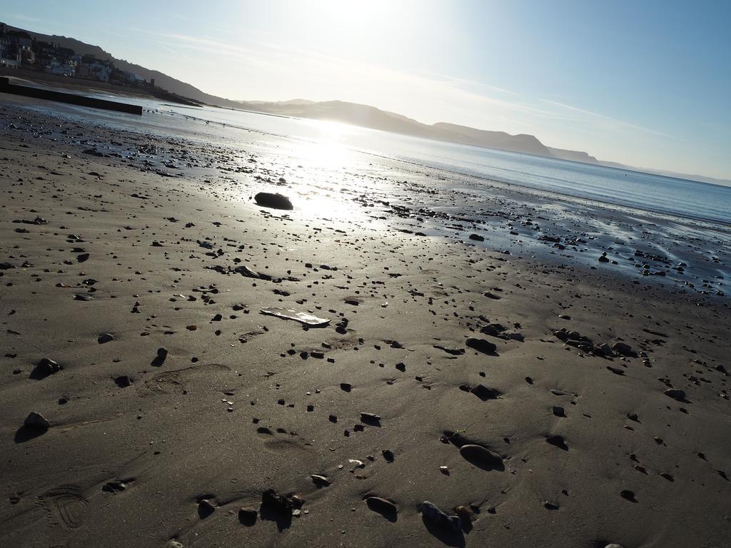 Dorset House Bed & Breakfast Lyme Regis Eksteriør bilde